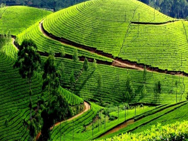 Hills of south holidays