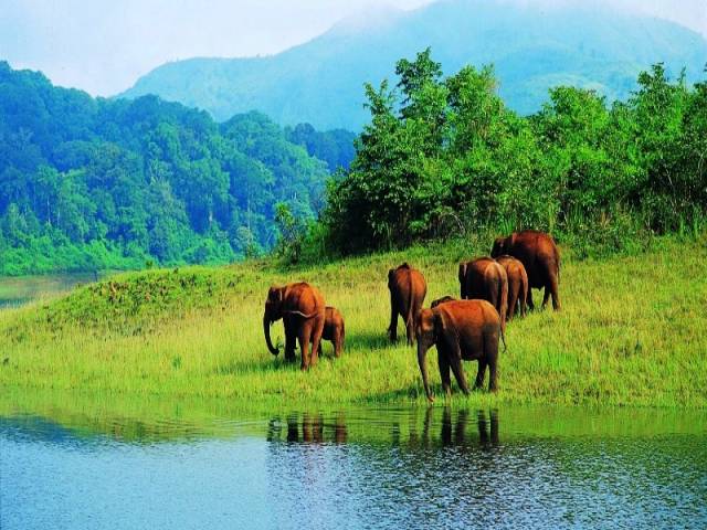 Hills of south holidays