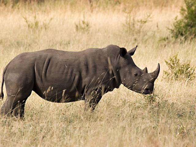 Kruger National ParK