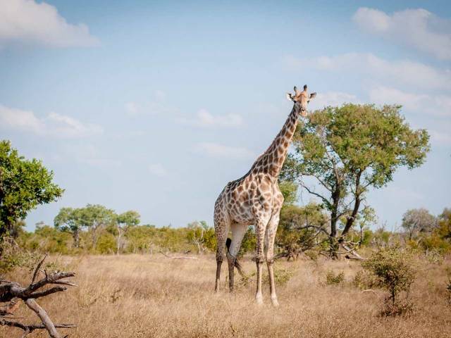 Kruger National ParK