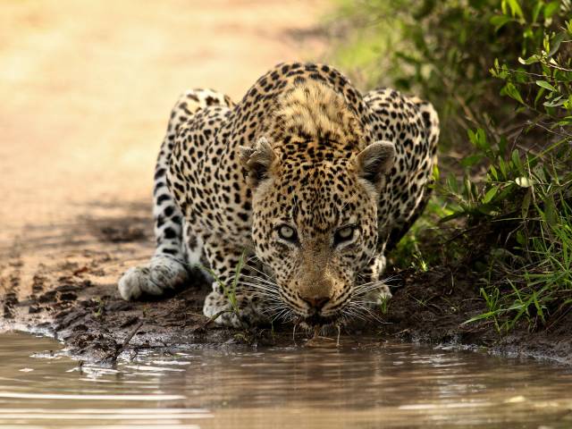 Kruger National ParK