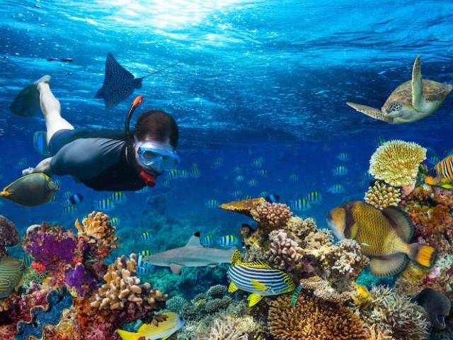 Great Barrier Reef