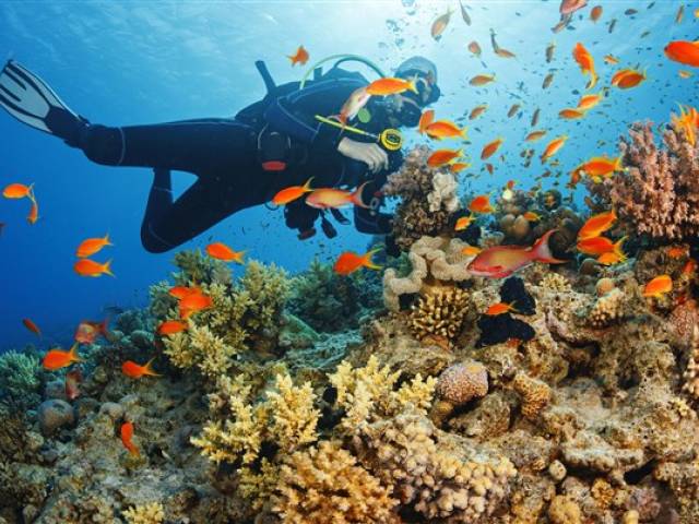 Great Barrier Reef