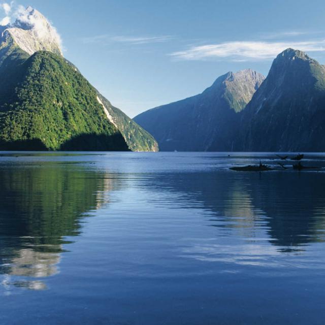 Newzealand holiday package 
