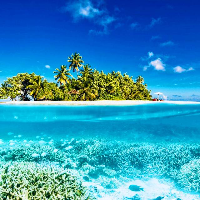 Maldives 1